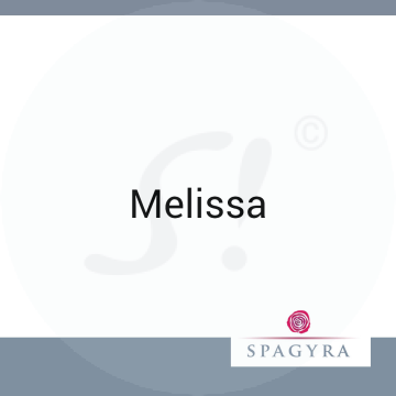 Melissa Spagyra 10 ml   Urtinktur