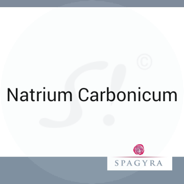 Natrium Carbonicum Spagyra 10 ml LM 3 Globuli