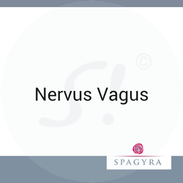 Nervus Vagus Spagyra D 7 Dilution 10 ml