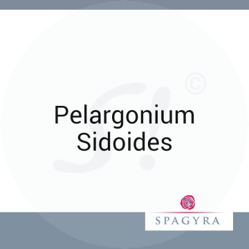 Pelargonium Sidoides Spagyra 10 ml D 4 Globuli