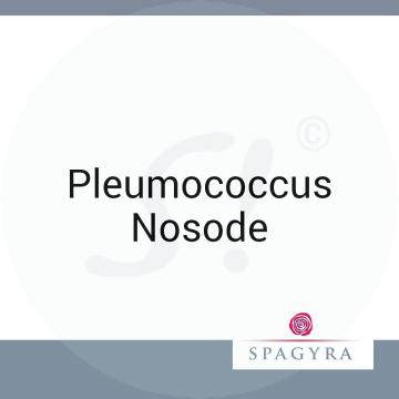 Pleumococcus Nosode Spagyra D 30 Globuli 10 ml