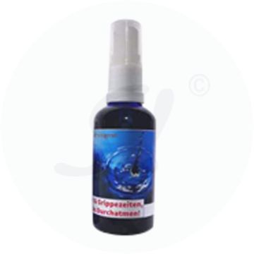 Raumspray Air Fresh 50 ml