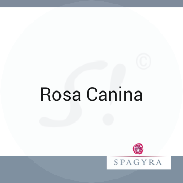 Rosa Canina Spagyra D 200 Dilution 10 ml