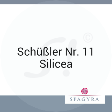 Schüßler Nr. 11 Silicea Spagyra 50 ml D 3 Salbe
