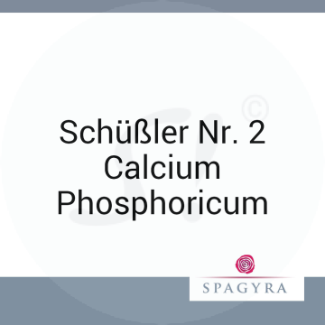 Schüßler Nr. 2 Calcium Phosphoricum Spagyra 20 ml D 12 Globuli