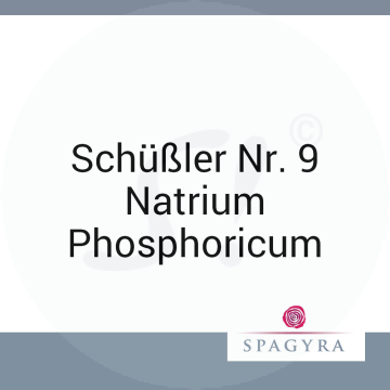 Schüßler Nr. 9 Natrium Phosphoricum Spagyra 20 ml D 6 Globuli