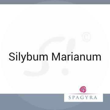 Silybum Marianum Spagyra 20 ml