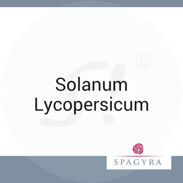 Solanum Lycopersicum Spagyra 10 ml D 12 Globuli
