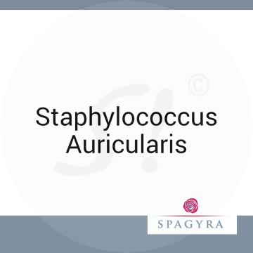 Staphylococcus Auricularis Spagyra 10 ml D 30 Globuli