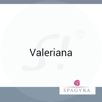 Valeriana Spagyra 50 ml D 1 Urtinktur