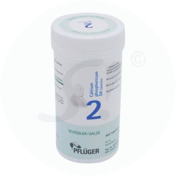 Pflüger Dr. Schüßler Nr. 2 Calcium Phosphoricum 100 g