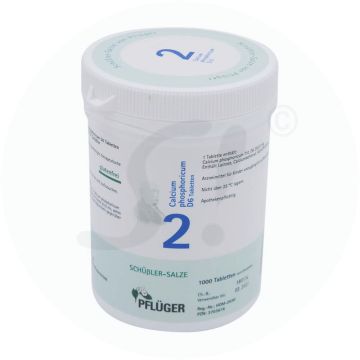Pflüger Dr. Schüßler Nr. 2 Calcium Phosphoricum 250 g