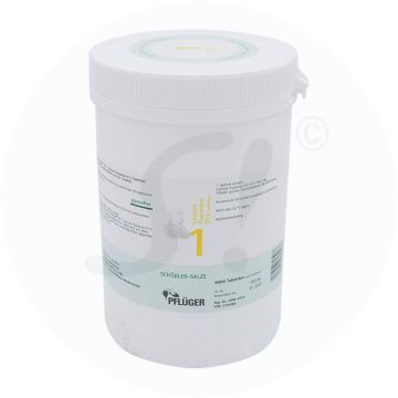 Pflüger Dr. Schüßler Nr. 1 Calcium Fluoratum 1 kg