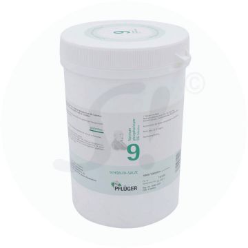 Pflüger Dr. Schüßler Nr. 9 Natrium Phosphoricum 1 kg
