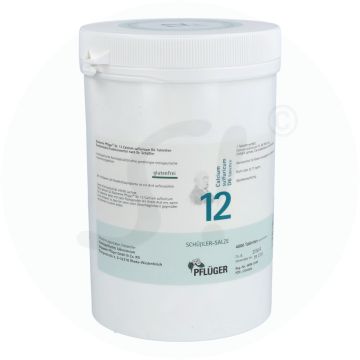 Pflüger Dr. Schüßler Nr. 12 Calcium Sulfuricum 1 kg