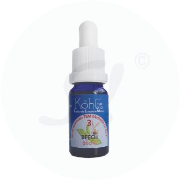 Koehle Blüten Beech 10 ml