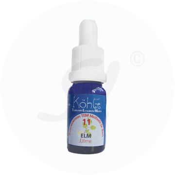 Koehle Blüten Elm 10 ml