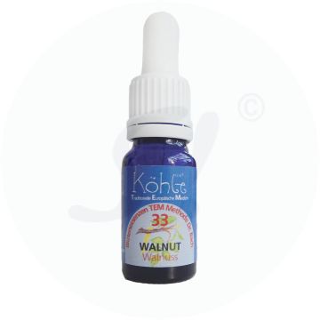 Koehle Blüten Walnut 10 ml