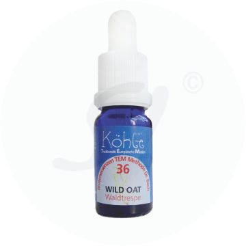 Koehle Blüten Wild Oat 10 ml