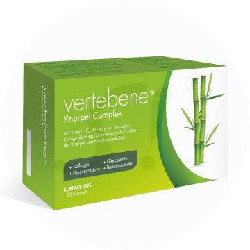 Vertebene Bandscheibenkapseln