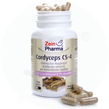 Cordyceps CS-4 Kapseln 120 g