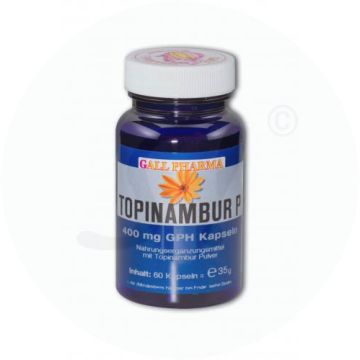 Gall Pharma Topinambur P Kapseln 400mg 750 Stk.