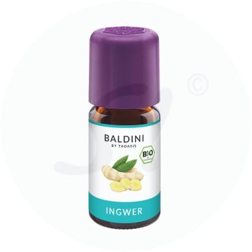 Taoasis Ätherisches Öl Ingwer 5 ml