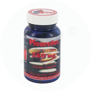 Pleurotus 250 mg Kapseln 60 Stk.
