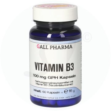 Gall Pharma Vitamin B 3 100 mg Kapseln