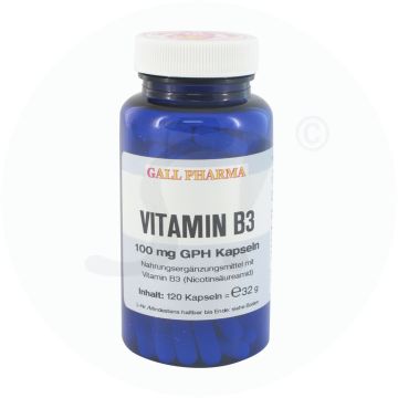 Gall Pharma Vitamin B3 100 mg Kapseln 120 Stk.