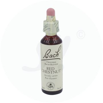 Apopharm Bachblüten 25 Red Chestnut 20 ml