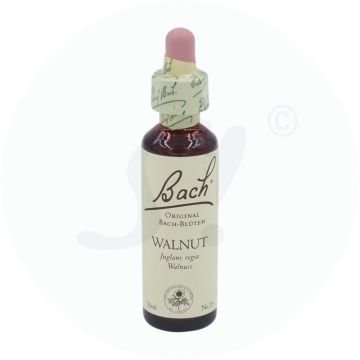 Apopharm Bachblüten 33 Walnut 20 ml