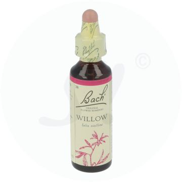 Bachblüte Apopharm 38 Willow/Weide 20 ml