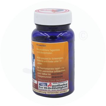 Vitalpilz Kapseln Bio Hericum 140 Stk.