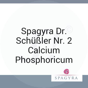Spagyra Dr. Schüßler Nr. 2 Calcium Phosphoricum Spagyra 20 ml D 6 Globuli