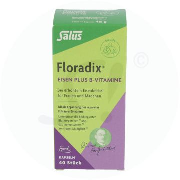 Floradix Eisen+B Vitamin Kapseln 40 Stk.