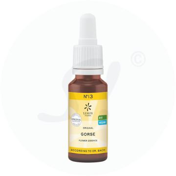 Bachblüte Lemon Pharma 13 Gorse 20 ml
