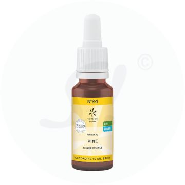 Bachblüte Lemon Pharma 24 Pine 20 ml