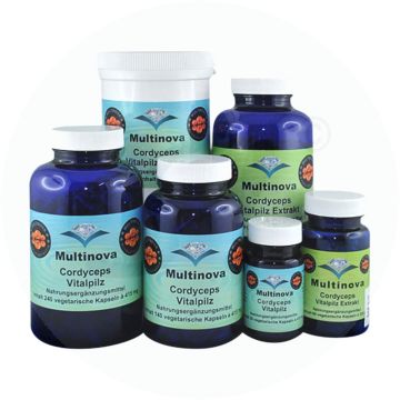 Vitalpilz Kapseln Cordyceps 140 Stk.