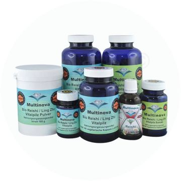 Vitalpilz Kapseln Bio Reishi 140 Stk.