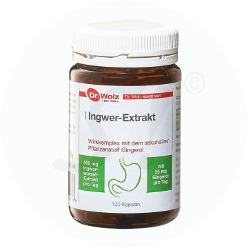 Dr. Wolz Ingwer Kapseln Extrakt 120 Stk.
