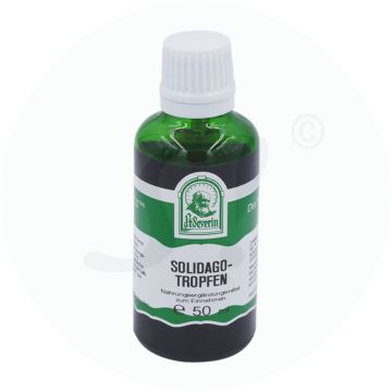 Gall-Reidinger Solidago Tropfen 50 ml
