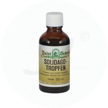 Gall-Reidinger Solidago Tropfen 100 ml