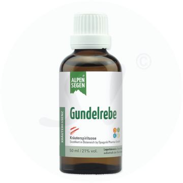 Alpensegen Gundelrebe Kräuteressenz 50 ml