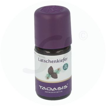 Taoasis Ätherisches Öl Latschenkiefer 5 ml