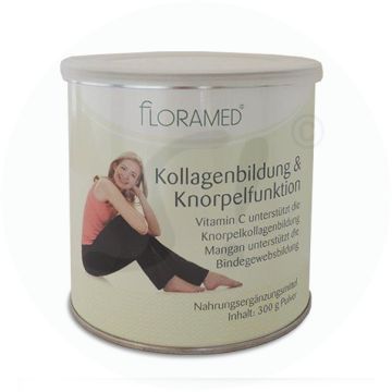 Floramed Kollagenbildung & Knorpelfunktion Pulver 300 g