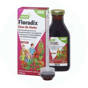 Floradix Eisen Tonikum Kind 250 ml