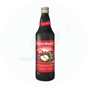 Rabenhorst Antioxidantien Saft 750 ml