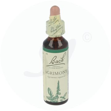 Bachblüte Klosterfrau Agrimony 1 20 ml
