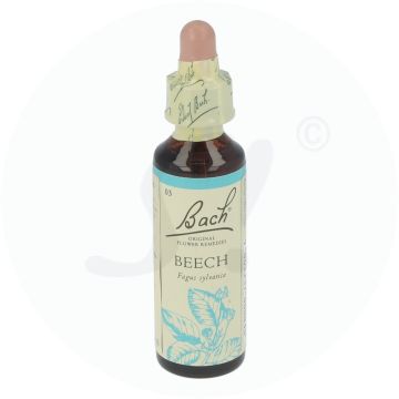Bachblüte Klosterfrau Beech 3 20 ml
